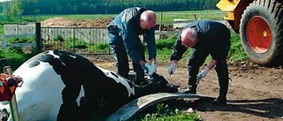 Polisen letar spår efter komorden