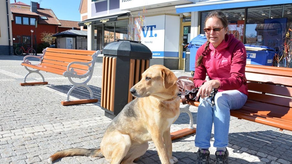 I tyskland, där Silke Mertens och hennes hund Wilma bor i vanliga fall är hundar välkomna i stort sett överallt utom i matbutiker, berättar hon.