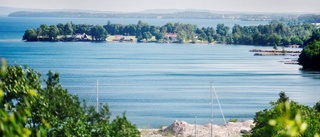 Allt detta händer på Borghamnsdagen