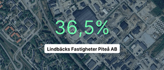 Så gick det för Lindbäcks Fastigheter Piteå AB i fjol