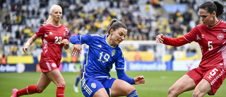 Sverige och Danmark söker fotbolls-EM – tillsammans