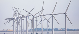 Mångdubbling av dansk vindkraft till havs