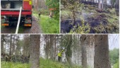 Skogsbrand i Finspångs kommun • Brandflyget kopplades in: "Vi har haft svårt med vattentillförseln"