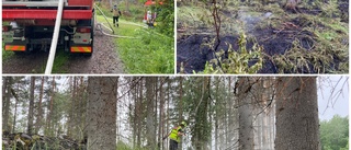 Skogsbrand i Finspångs kommun • Brandflyget kopplades in: "Vi har haft svårt med vattentillförseln"