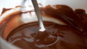 Salmonella i världens största chokladfabrik