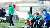 Isländske tränaren om IFK-uppgifterna: "Kan inte kommentera rykten"