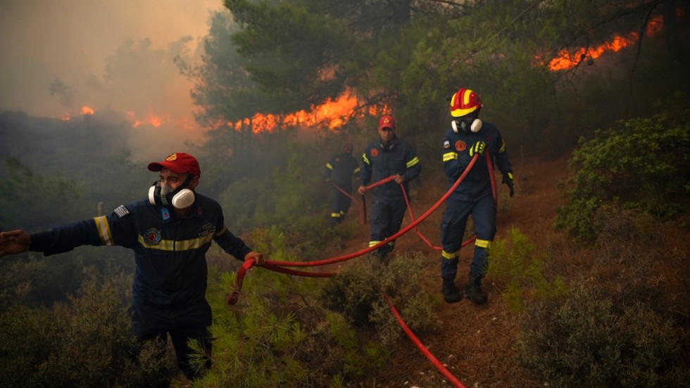 Brandmän bekämpar skogsbranden på ön Lesbos i Grekland under lördagen.