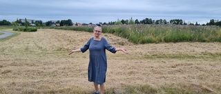 Helena fick löfte om bättring – trots det klipper kommunen ängsgräs för tidigt på Balsta: "Jag blir besviken"