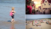 Sifo-undersökning: Gotland är landets bästa sommardestination • ”Många hängivna och duktiga människor”