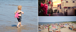 Sifo-undersökning: Gotland är landets bästa sommardestination • ”Många hängivna och duktiga människor”