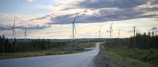 "Miljöpartiet vill att de som bor nära en vindkraftsetablering ska ersättas"