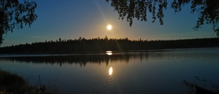 Läsarbilden: Natt i Stavsjön   
