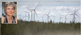 Svevind vänder sig till regeringen för beslut om högre vindkraftverk: "Vi ser fördelar med det"