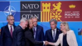 Kluvet turkiskt parlament avgör Natofrågan