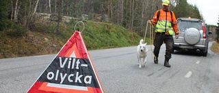 Regionindelning inom polisen grusar maskineriet