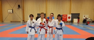 14 medaljer för Karateklubben i Stockholm