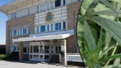 Nyköpingsbo hittade knarkpåsar – blev förföljd till polisstationen