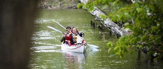 Ta gräddfilen ut i skärgårdsnaturen