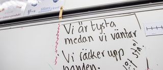 Mål för trygga skolor uppnås endast delvis