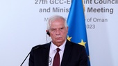 Borrell: EU vill inte se total Gazabelägring