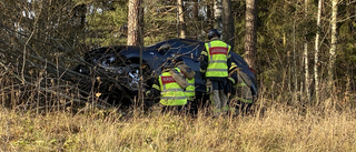 Bilist körde in i skogen – kan ha blivit bländad