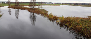Varning för översvämning – kan påverka "viktiga vägar"