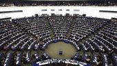 Partierna satsar på stjärnglans i EU-parlamentet