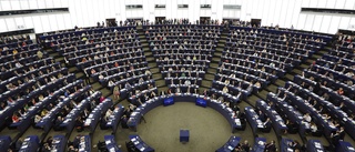 Partierna satsar på stjärnglans i EU-parlamentet
