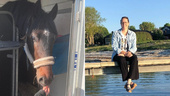 Försvunna hästen återfunnen – Sofias lycka: ”Tack Gotland”