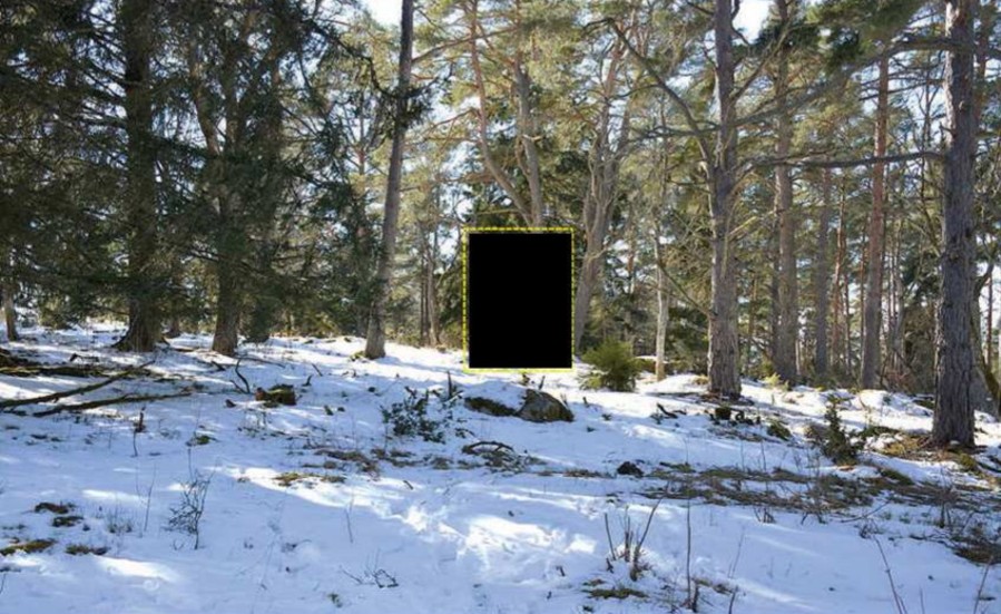Här, på en höjd i en skog i Hjälstavikens naturreservat, hittades det 26-årige offret hängd i ett träd. Bild ur polisens förundersökning. Arkivbild.