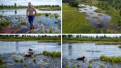 Höll löftet – Gustav, 39, simmar i sin nya sjö: "Riktigt skönt"