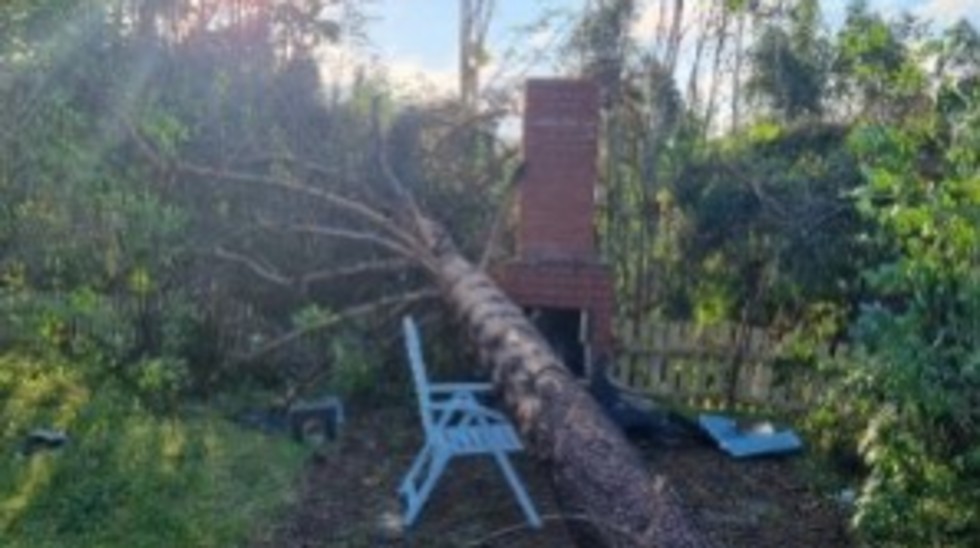 The Lainejaur couple saw several trees blown down on their property.