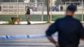 Utreder misstänkt våldtäkt mot flicka i Malmö