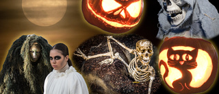 Har du tagit Gotlands häftigaste Halloweenbild?