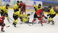 Piteå Hockeys konkurrent drar sig ur – flyttas ner till tvåan