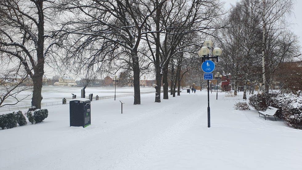 Signaturen "Arg cyklist!" vill att gång- och cykelvägarna ska prioriteras när det snöröjs. (Bilden är från västra delen av Stadsparken i Eskilstuna, där det vid fototillfället hade snöröjts.)