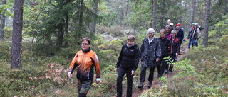 KF-ordföranden ledde vandring i skogen