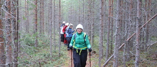 Bergsvandring med finalglans  