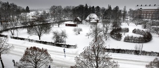 Uppsala detaljplanerar som staden Annorlunda