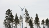 Vad vill Miljöpartiet angående vindkraften?
