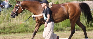Hon kan bli årets hästskötare på Ryttargalan