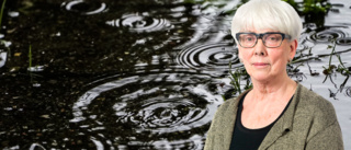 Birgitta Pettersson: På utflykt i en upprörd verklighet