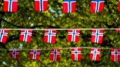 Norsk protektionism gynnar Sverige