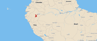 Tre döda i protester i Amazonas