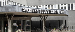 SVT svartmålar Sveriges regering 