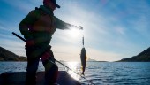 Fiskekort populära i pandemin: "Rejäl ökning"