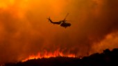 Nya helikopterräddningar vid USA-bränder
