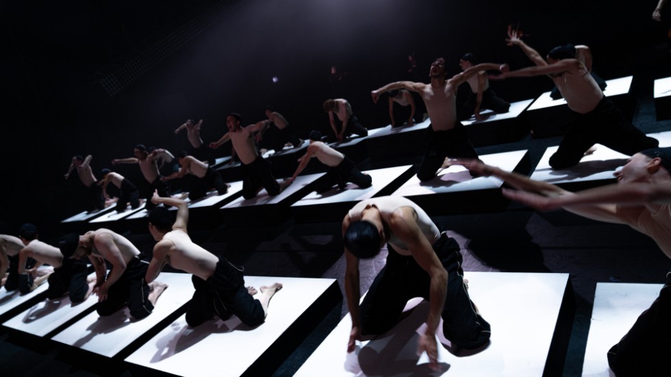 Föreställningen "Shift. Cacti" med Kungliga Baletten går att se digitalt. Pressbild.