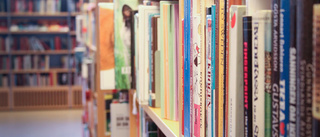 Skolbibliotek viktigare än vinstuttag