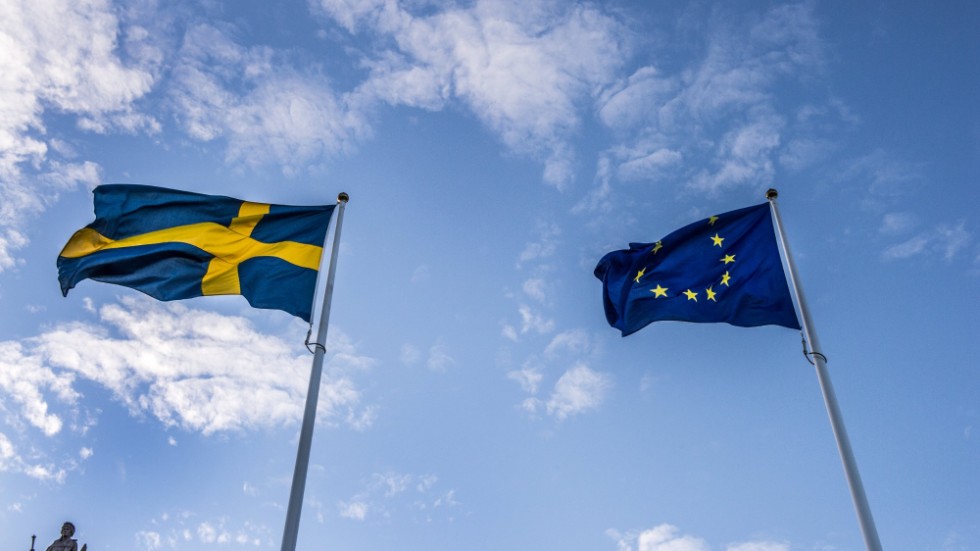 Det som är bra för Europa är bra för Sverige.